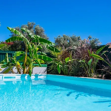 Casa Colmeia - Charming 2-bedroom